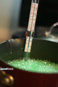 MineCraft Creeper Marshmallows Tutorial