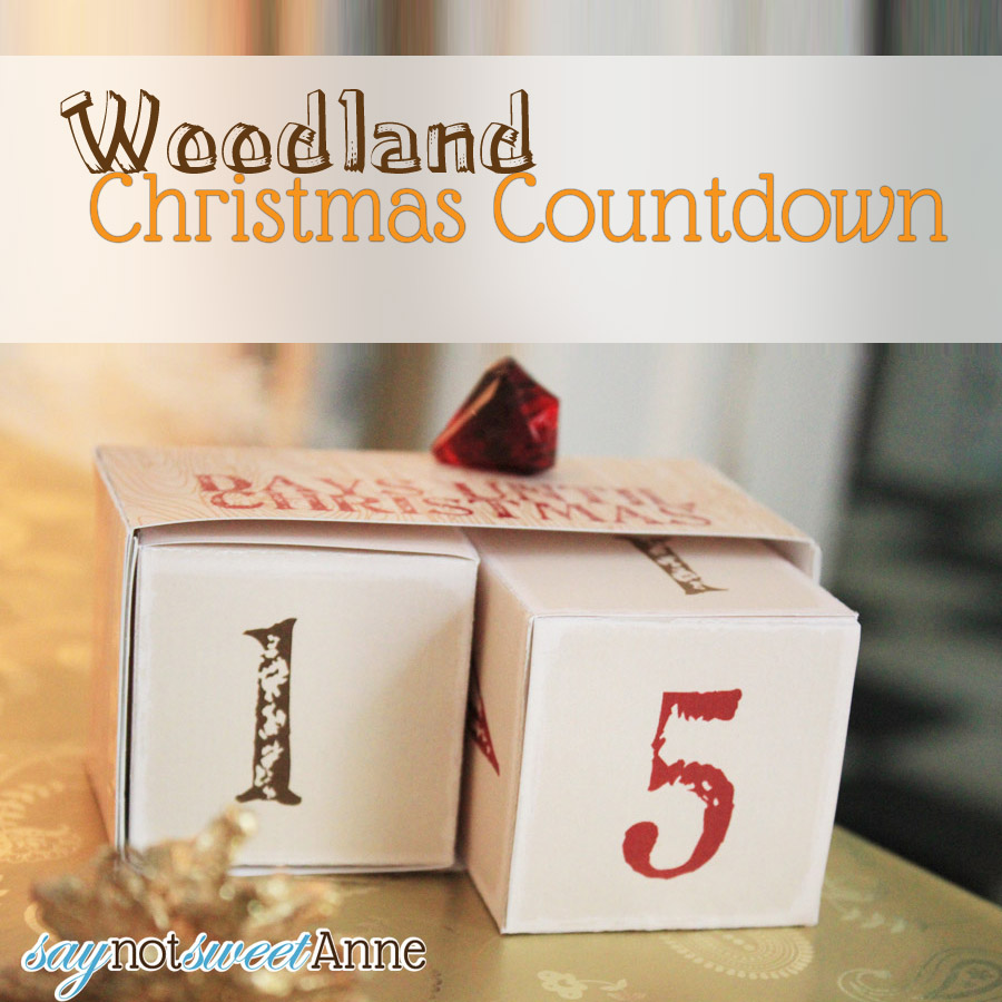 Sweet Rusting Christmas Countdown! Made entirely out of paper from an easy free printable! | Saynotsweetanne.com | #rustic #Christmas #printable