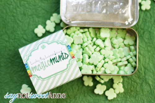 DIY Candy Mints and Tin | Saynotsweetanne.com