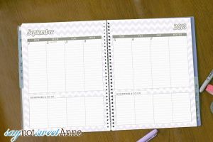 Weekly and Monthly View Student Planner Printable