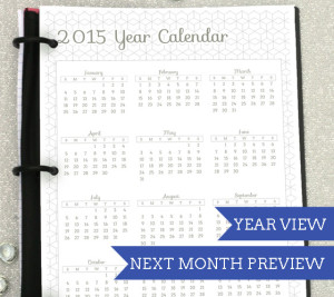 Amazing Printable Planner! Oct '13 - Dec '14 with tons of choices! Meal planning, lesson planning, kid sport tracking etc! | from saynotsweetanne.com | #planner #printable #organize #student #meal #mommy #lesson