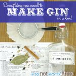 Make Your Own Gin