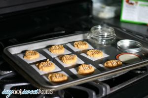 Canned Baked Goods - Vacuum sealed cookies, brownies and cakes in a jar, good for months! | saynotsweetanne.com | #diy #cookies #canning