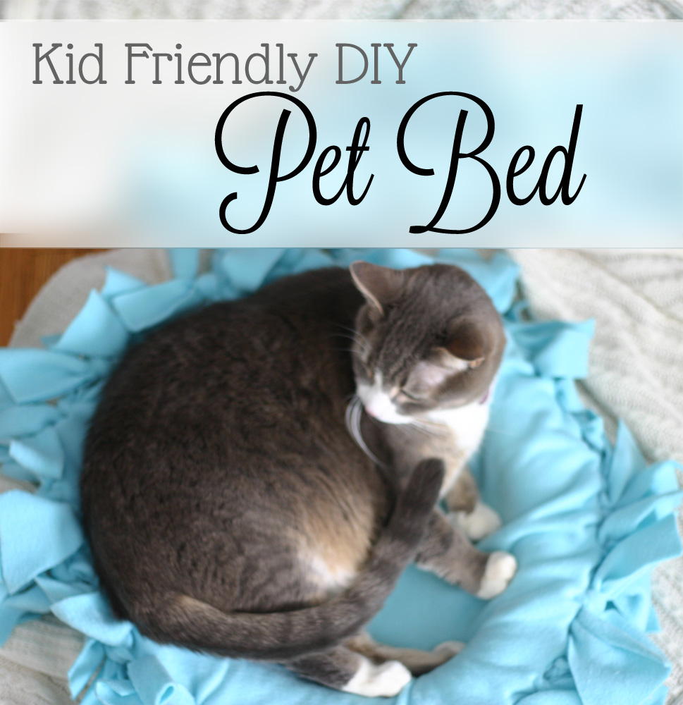 Easy diy cat clearance bed