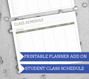 Amazing Printable '14 - '15 Student  Planner! Room for homework, class schedule, month/week views and more!| from saynotsweetanne.com | #planner #printable #organize #student 