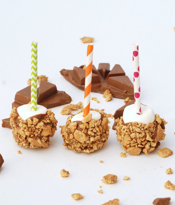 Who doesn't love s'mores?? These s'mores pops taste just like the original, but easy and portable!
