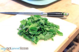 Easy to make Mint and Ginger Candies - Natural soothing flavors great for upset tummies! | saynotsweetanne.com | #diy #candy #flu #sick #sickness