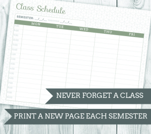 Printable 2015 Modular Planner. Download and print! Choose between several variations, including some with meal or lesson planning! Available in two sizes, 4 colors and with several add-ons to make your planner suit you! | saynotsweetanne.com | #etsy #planner #printable #organize