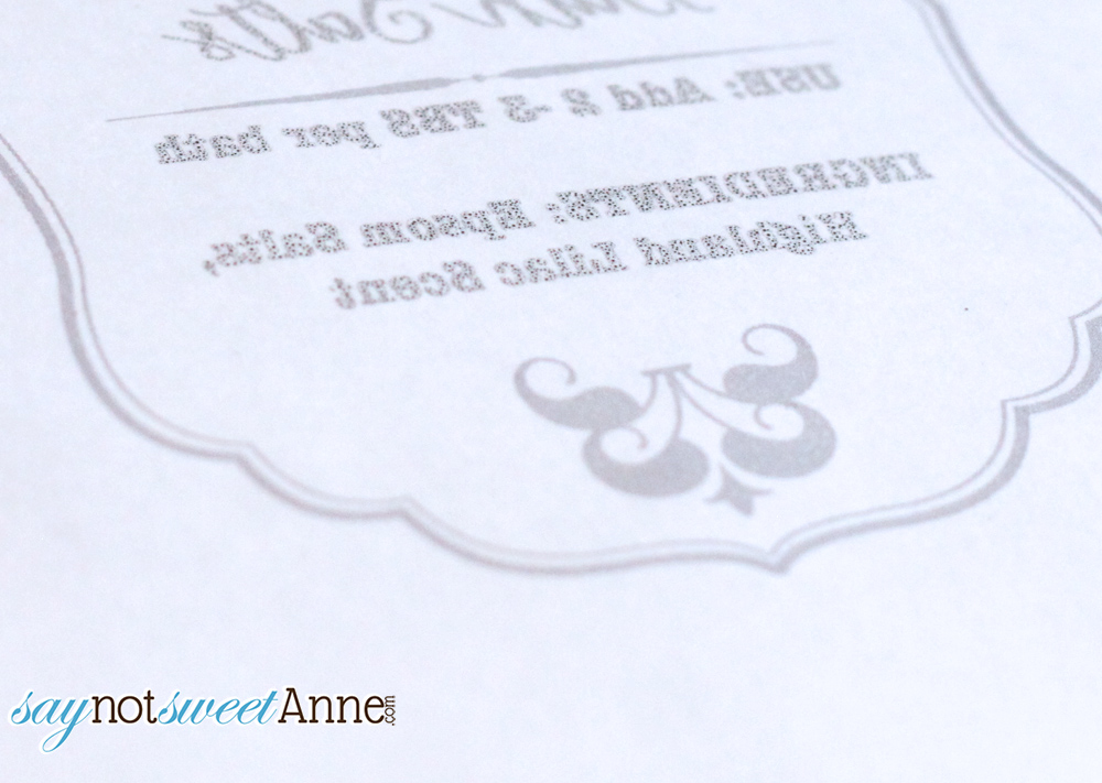 Easy Inkjet to Fabric Transfer Sweet Anne Designs