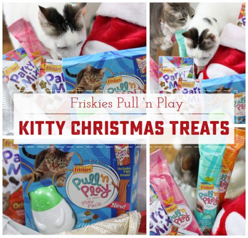Friskies new Pull 'n Play treats are an edible string that you and your cats can play with! | Enter to win one of TWO Pull 'n Play treat bags!
