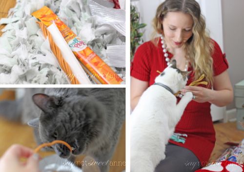 Friskies new Pull 'n Play treats are an edible string that you and your cats can play with! | Enter to win one of TWO Pull 'n Play treat bags!