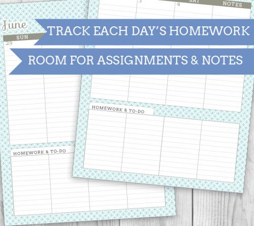 FREE June '16 - June '17 Printable Student Planner - Perfect for back to school, getting organized, graduation gifts and more. There's space to track homework, class schedule add ons, and even a teacher's version with lesson planning. | saynotsweetanne.com