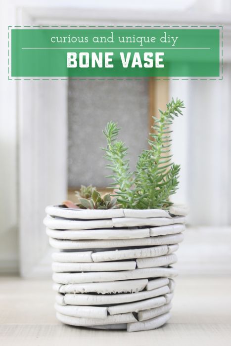 Curious and Unique DIY Bone Vase - Don't worry - it's not really made of bones! Great for dressing up indoor plants | saynotsweetanne.com