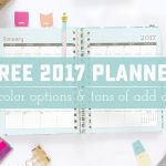 Printable 2017 Planner!