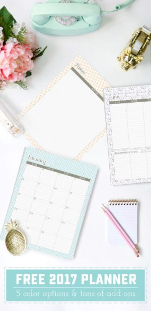 Printable 2017 Planner! - Sweet Anne Designs