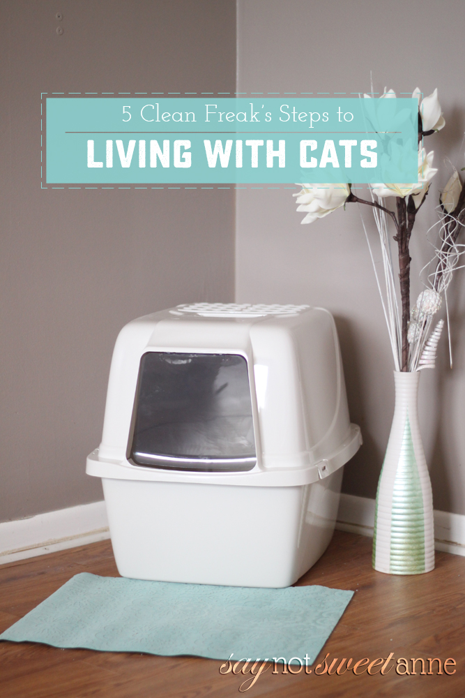 5 Steps to Living with a Litter box Sweet Anne Designs