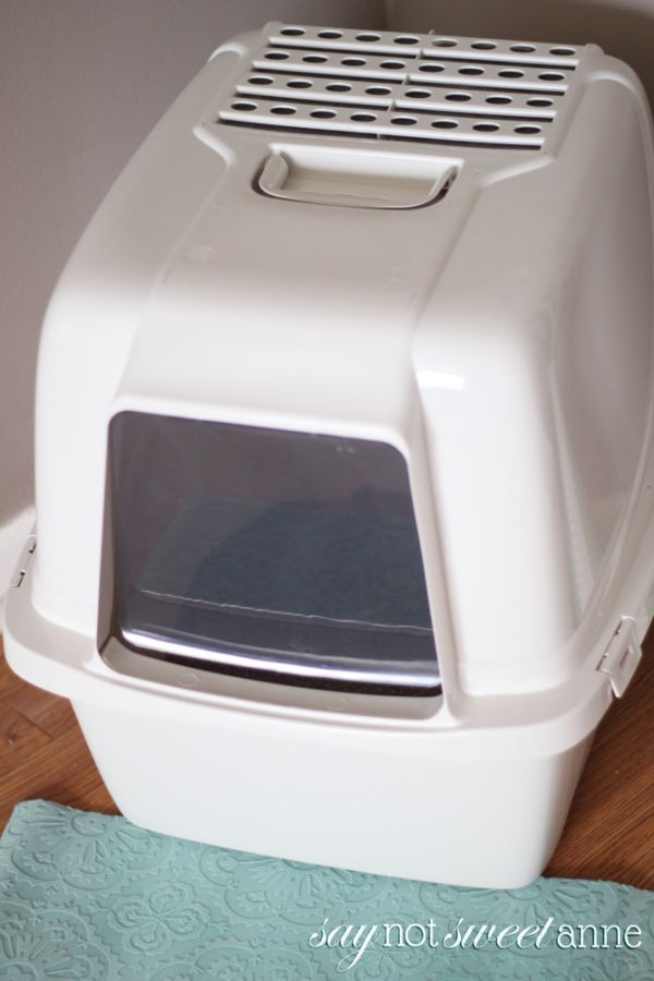 5 Steps to Living with a Litter box Sweet Anne Designs