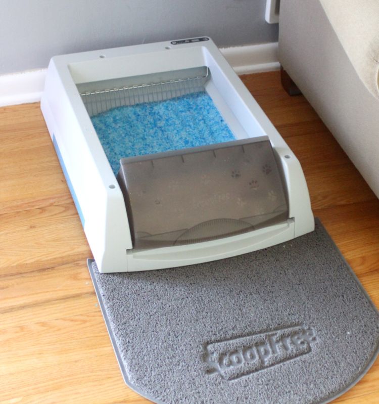 5 Steps to Living with a Litter box Sweet Anne Designs